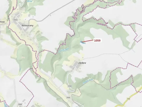 Dražba lesa, Náměšť nad Oslavou, 3646 m2