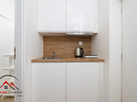 Pronájem bytu 1+kk, Ostrava, Cihelní, 17 m2