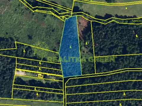 Prodej lesa, Konice, 3343 m2