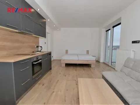 Pronájem bytu 1+kk, Plzeň, Na Roudné, 41 m2