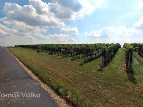 Prodej pole, Čejkovice, 25676 m2