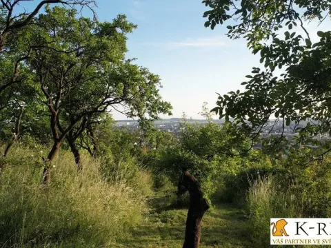 Prodej zahrady, Brno - Židenice, 1227 m2