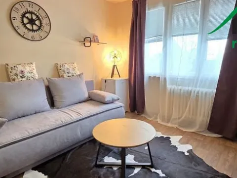 Pronájem bytu 1+kk, Tachov, Bělojarská, 25 m2