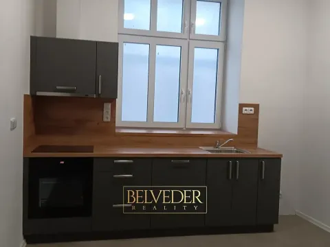 Pronájem bytu 3+kk, Teplice, Pražská, 44 m2