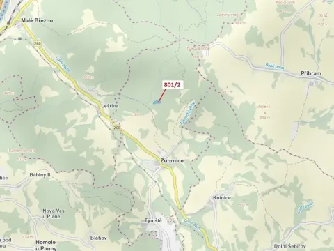 Dražba lesa, Zubrnice, 8765 m2