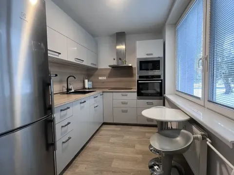 Pronájem bytu 3+1, Bučovice, Vyškovská, 68 m2