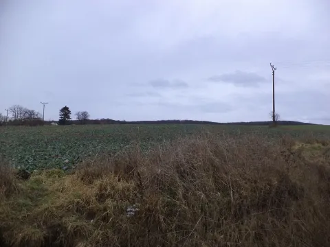 Prodej pozemku, Morkůvky, 6867 m2