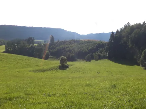 Prodej pole, Dolní Dobrouč - Horní Dobrouč, 71151 m2