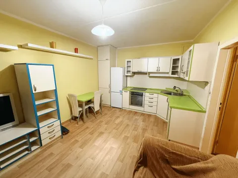 Prodej bytu 2+kk, České Budějovice, K. Štěcha, 48 m2