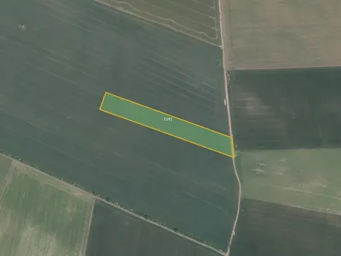 Prodej pole, Nový Šaldorf-Sedlešovice, 16200 m2