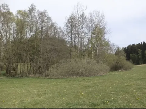 Dražba louky, Mezno, 8388 m2