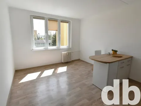 Pronájem bytu 1+kk, Chodov, Čapkova, 26 m2