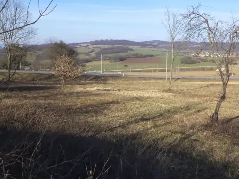 Dražba louky, Řehlovice, 2962 m2