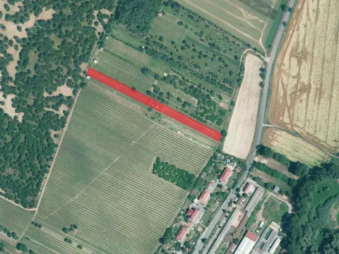 Prodej sadu/vinice, Svatobořice-Mistřín, 5062 m2