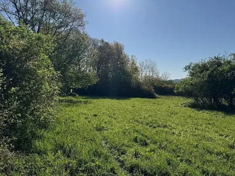 Prodej pozemku, Čížkov, 22012 m2