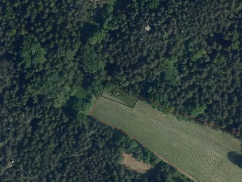 Prodej pole, Koberovy - Besedice, 757 m2