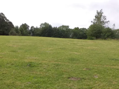 Prodej pozemku, Vlčice, 1566 m2