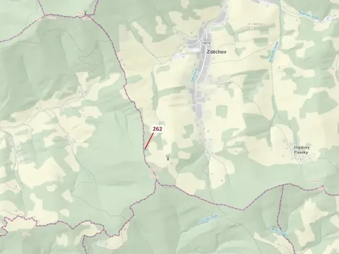 Dražba lesa, Zděchov, 273 m2