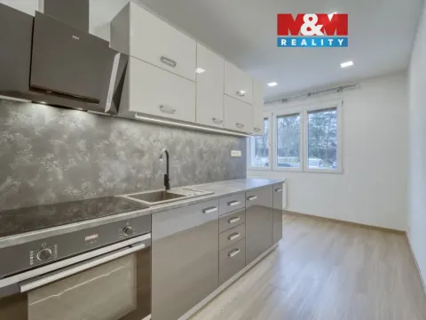 Pronájem bytu 2+1, Plzeň - Lobzy, Revoluční, 57 m2