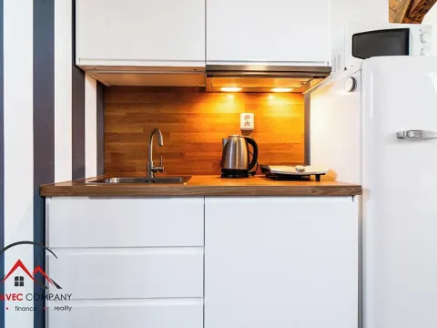 Pronájem bytu 1+kk, Ostrava, Cihelní, 43 m2