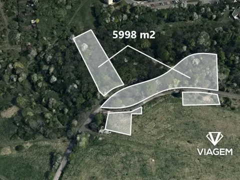 Prodej lesa, Ústí nad Labem, 5998 m2