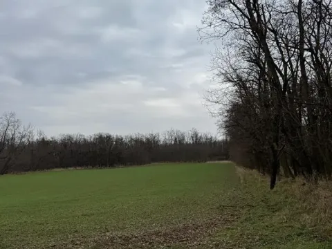 Prodej podílu lesa, Lesonice, 814 m2