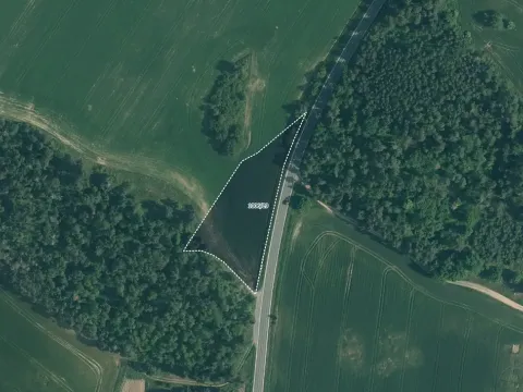 Prodej pole, Velký Bor, 11261 m2