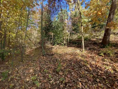 Prodej pole, Železný Brod, 12622 m2