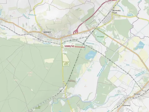 Dražba lesa, Bzenec, 4949 m2