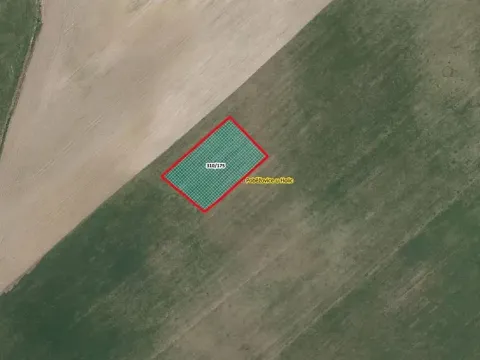 Prodej pole, Poběžovice u Holic, 2612 m2