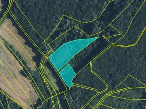 Dražba pole, Rokytňany, 12828 m2