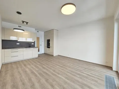Pronájem bytu 1+kk, Praha - Hloubětín, Poděbradská, 34 m2