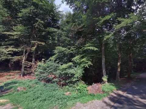 Prodej lesa, Hartinkov, 8121 m2