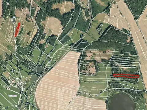 Prodej lesa, Jihlávka, 10463 m2