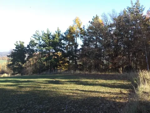 Dražba louky, Prostějovičky, 13211 m2