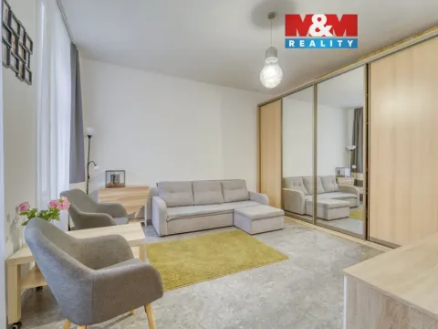 Prodej bytu 1+kk, Plzeň - Východní Předměstí, Plzenecká, 30 m2