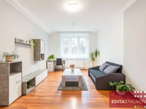 Pronájem bytu 1+1, Olomouc, Dr. Milady Horákové, 39 m2