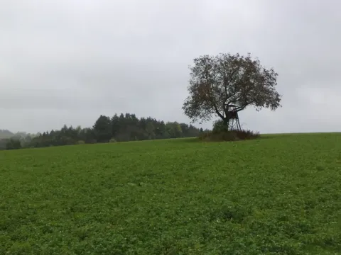 Prodej pozemku, Nové Hrady, 2679 m2