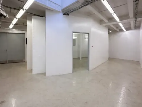 Pronájem výrobních prostor, Praha - Nusle, Mojmírova, 165 m2