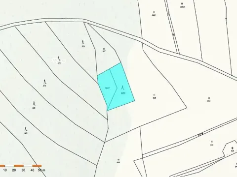 Prodej lesa, Vyskytná nad Jihlavou, 1283 m2