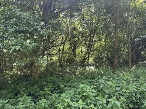 Dražba pozemku, Klášterec nad Ohří, 22680 m2