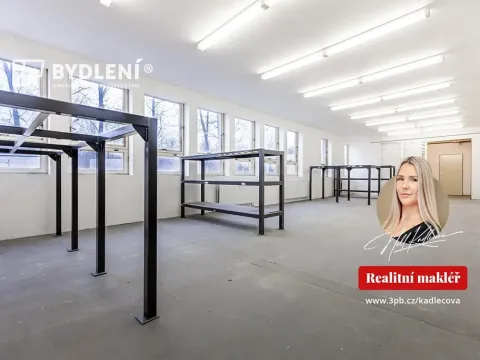 Pronájem kanceláře, Teplice, Tolstého, 218 m2
