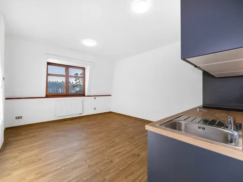 Pronájem bytu 1+kk, Plzeň - Severní Předměstí, Bolevecká, 27 m2