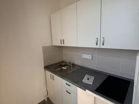 Pronájem bytu 1+1, Brno, Ibsenova, 34 m2