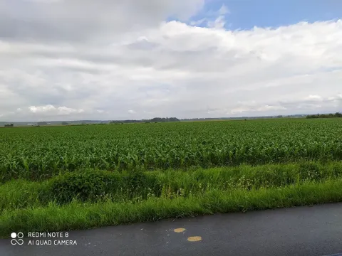 Prodej komerčního pozemku, Dolní Roveň, 13103 m2