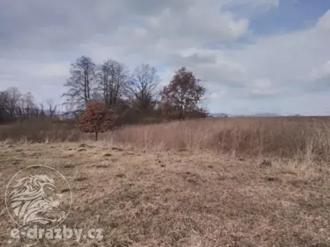 Dražba pozemku, Janovice nad Úhlavou, 4609 m2