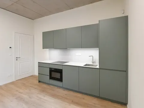 Pronájem bytu 3+kk, Praha - Nusle, Boleslavova, 58 m2
