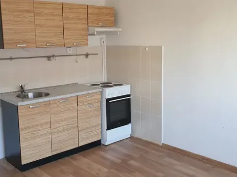 Pronájem bytu 1+1, Teplice, Javorová, 45 m2