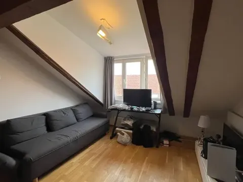 Pronájem bytu 3+kk, Praha - Vyšehrad, Neklanova, 60 m2