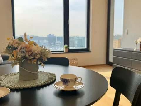 Pronájem bytu 2+kk, Praha, V třešňovce, 50 m2